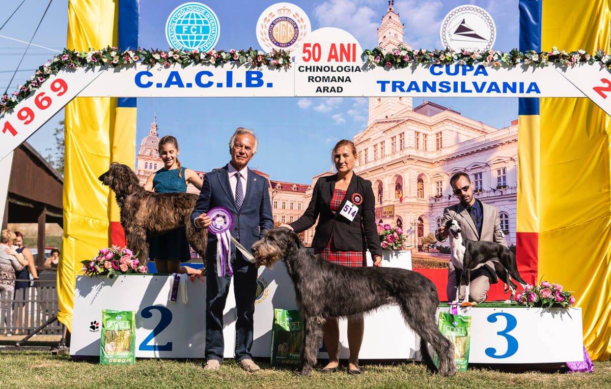 BIG Arad Romania 2019